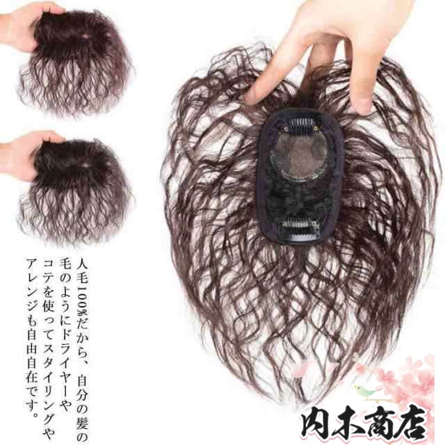 ウィッグ 部分ウィッグ 人毛100％ 白髪隠し ヘアピース トップ ピース トップ カバー ウイッグ 白髪かくし ボリューム アップ ミセス
