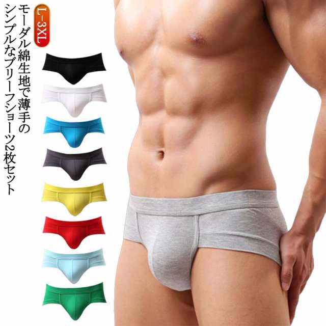 2枚組 セクシー 男性下着 ビキニブリーフ 男性用下着 メンズ 前閉じ ブリーフショーツ ブリーフ Tバック ブリーフショーツ メンズ ビキニ ビキニブリーフ ブリーフパンツ シンプル セクシー おし