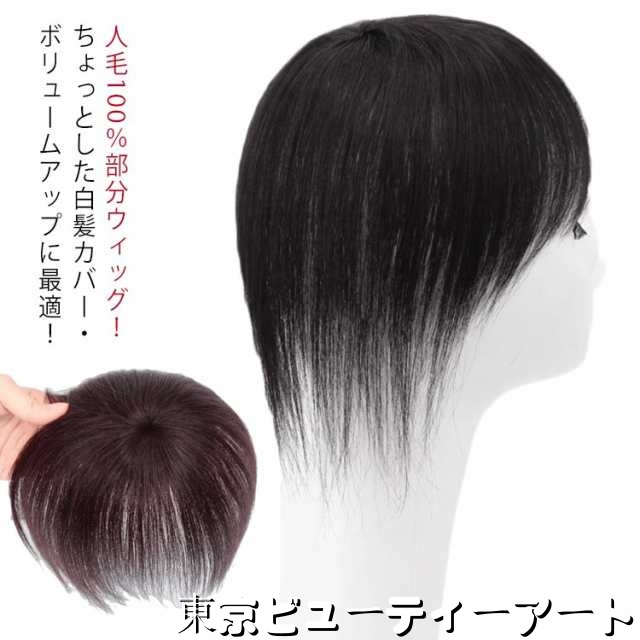 送料無料 部分ウィッグ 人毛100％ 自然 薄毛 脱毛症 白髪隠し 増毛 レディース 女性用 かつら ショート 人毛ウィッグ ミニウィッグ 部分かつら ポイントウィッグ ボリュームアップ 薄毛対策 ト